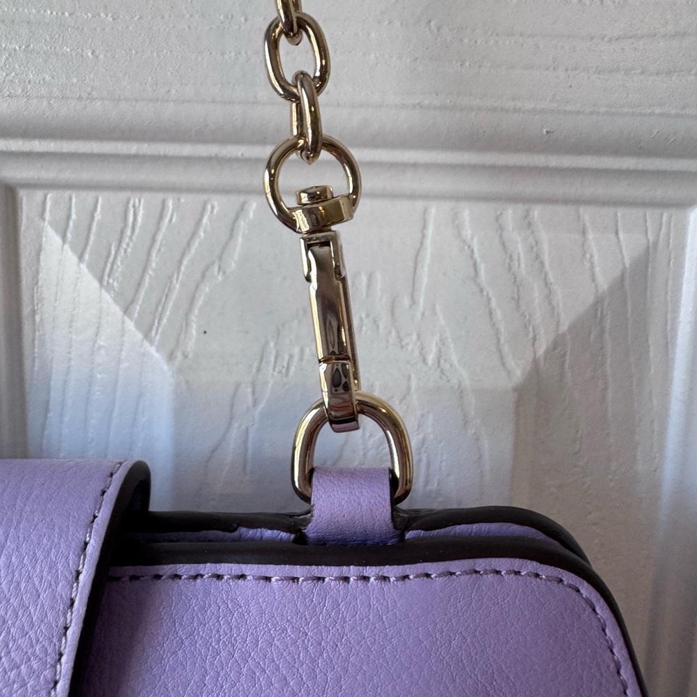 NWT Radley London leather clutch purse with chain. - Picture 4 of 12